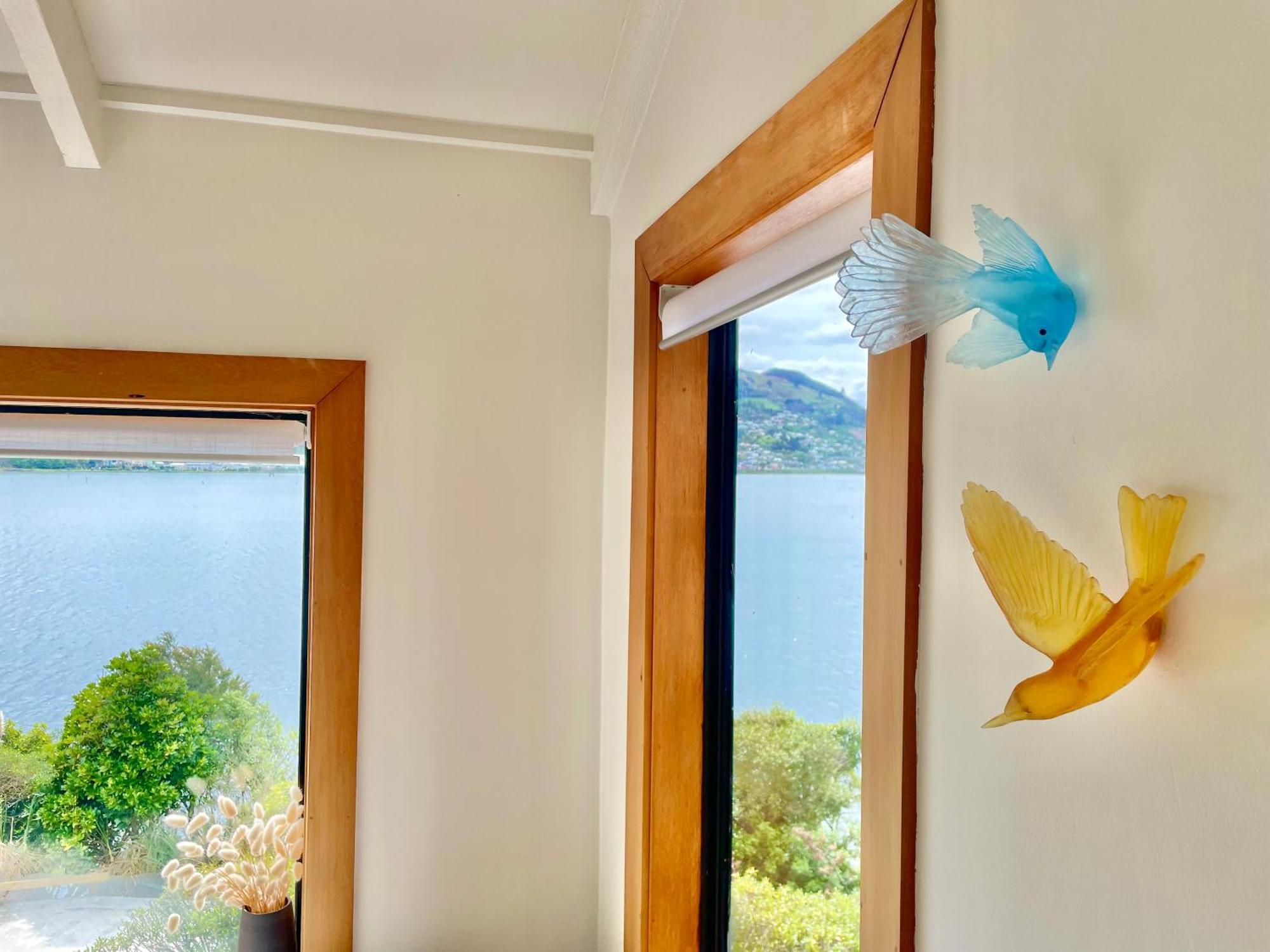 The Cove Cabin - Your Quiet Escape Dunedin Exterior photo