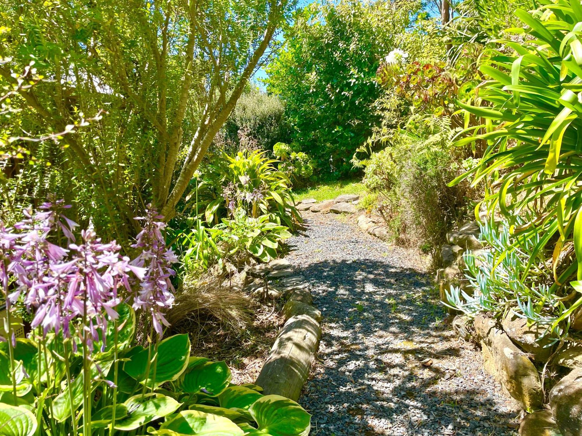 The Cove Cabin - Your Quiet Escape Dunedin Exterior photo